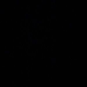 Meet your Posher, Chloe